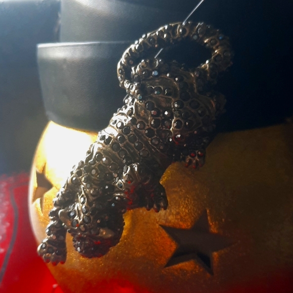 Cheetah Black Belt - Picture 2 of 11